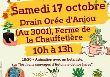 Troc de plantes et de graines